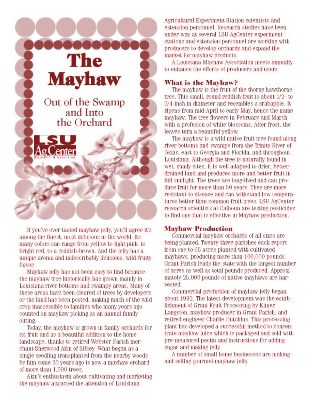 The Mayhaw