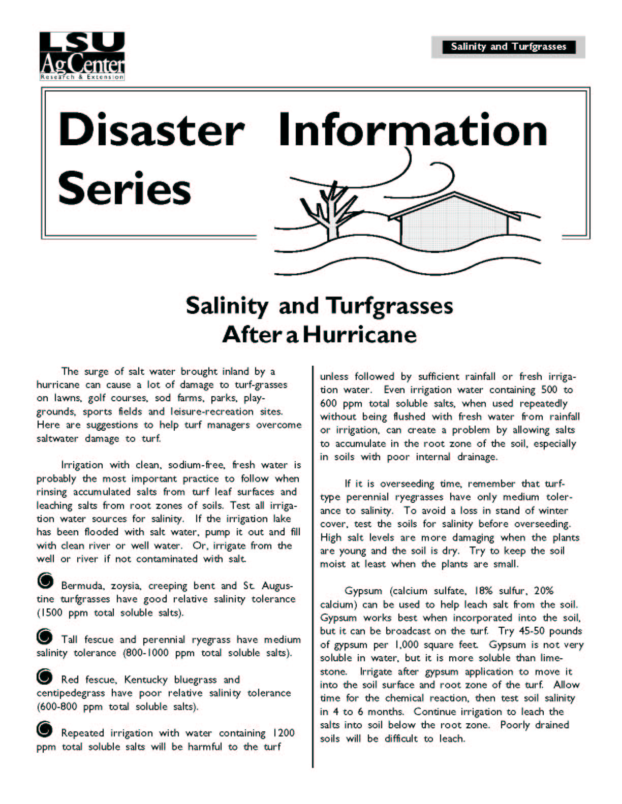Salinity and Turfgrasses After a Hurricane