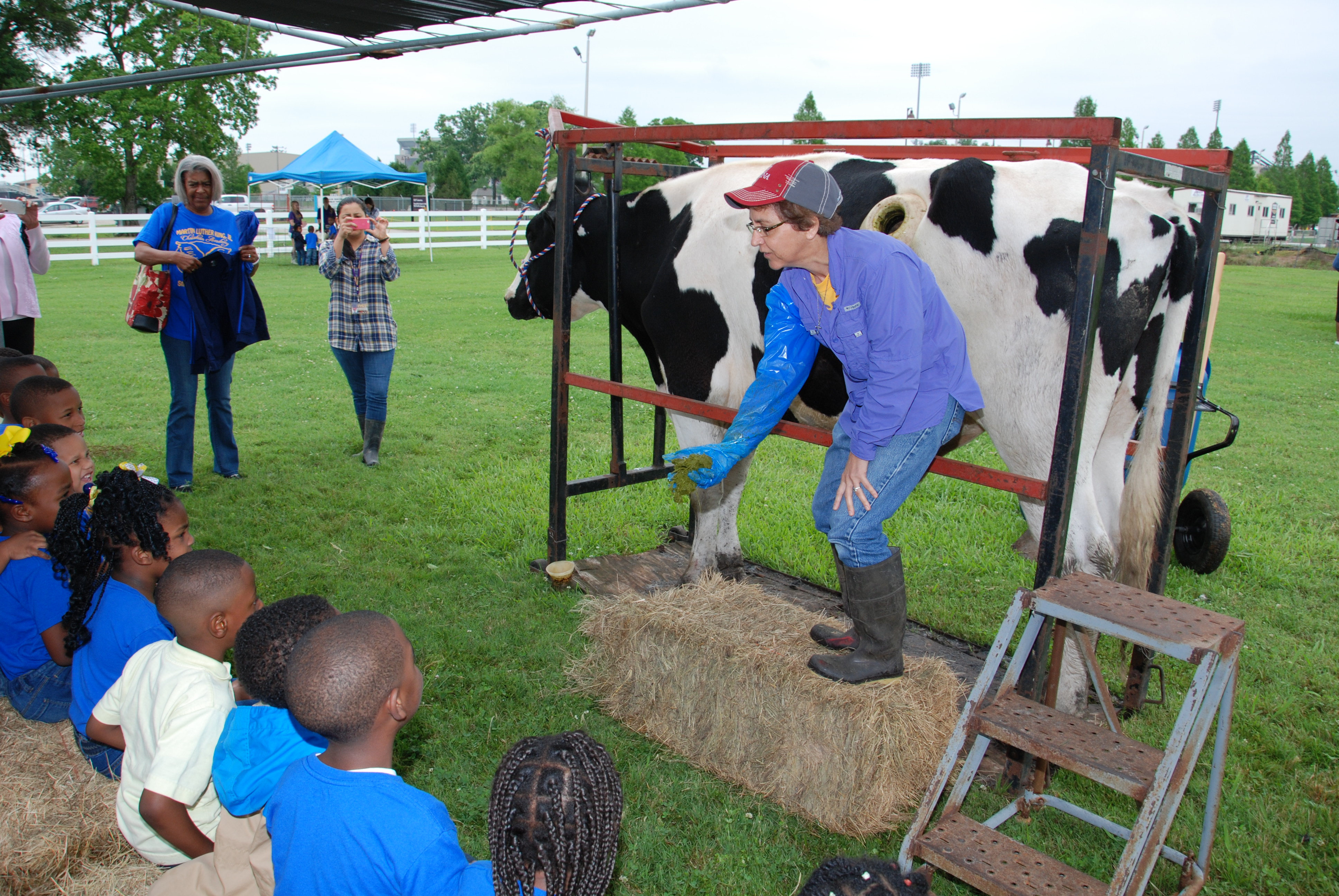 Students get hands-on experience with farm animals