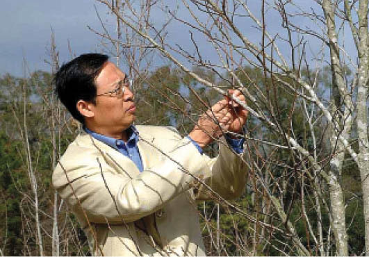 Photo of Zhijun Liu, professor in the School of Renewable Natural Resources