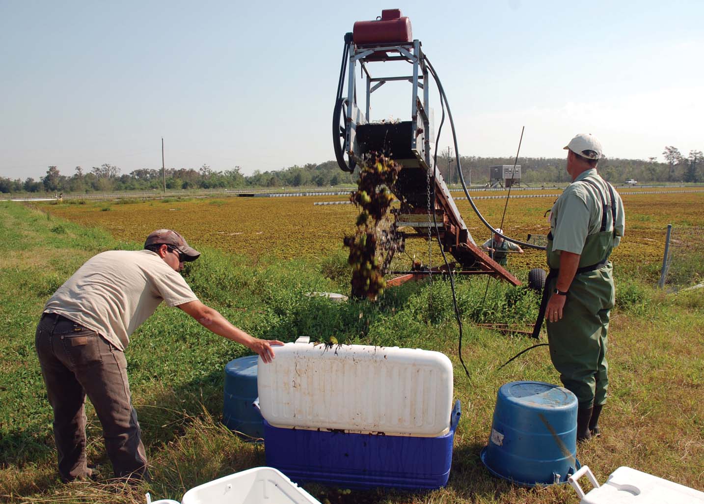 Photo of Dearl Sanders loading salvinia