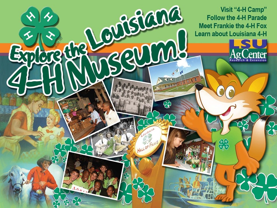 Explore the Museum
