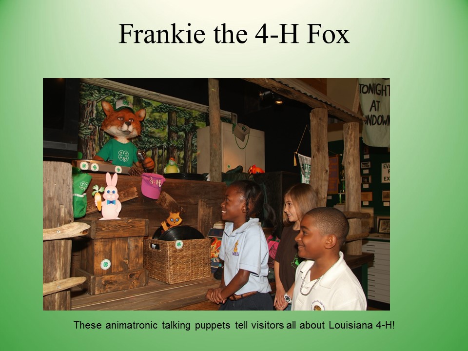 Slide16