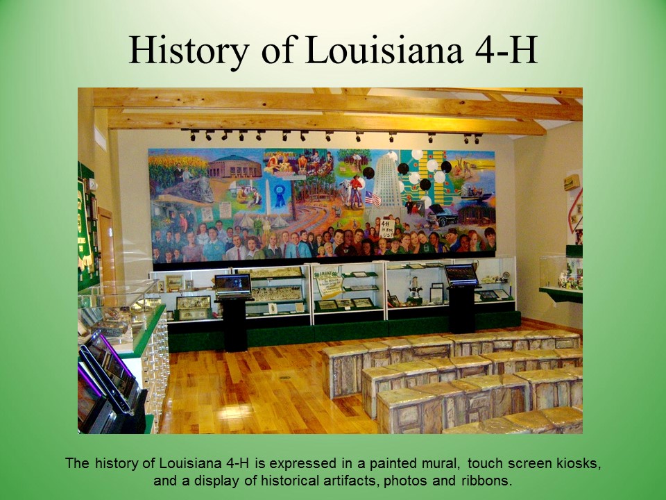 Slide20