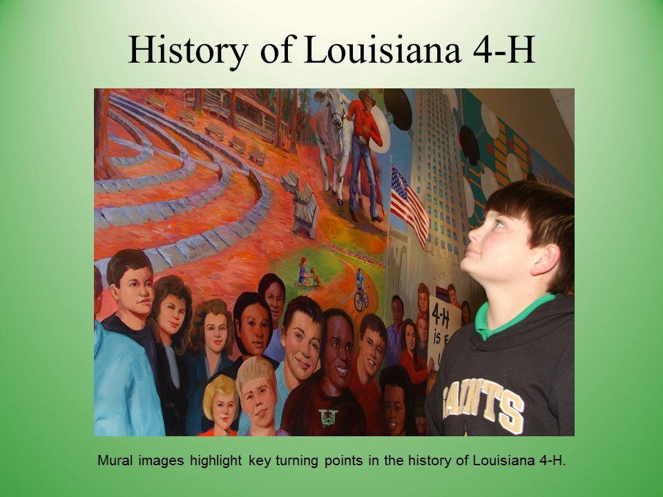 Slide21
