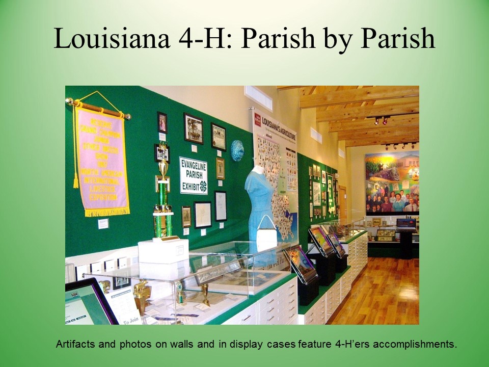 Slide24