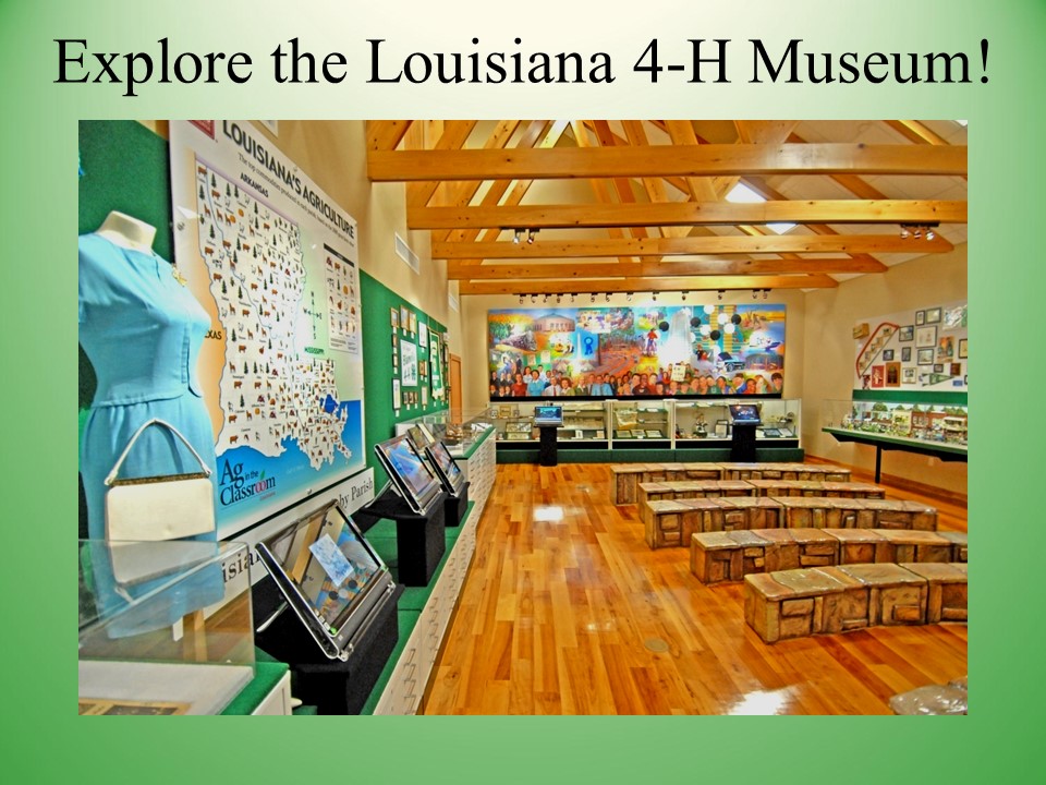Slide29