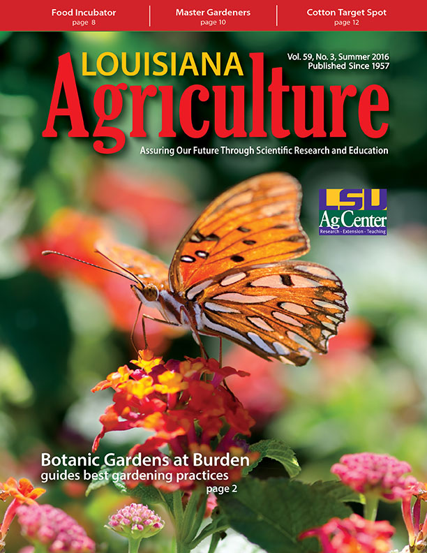 Louisiana Agriculture Summer 2016 