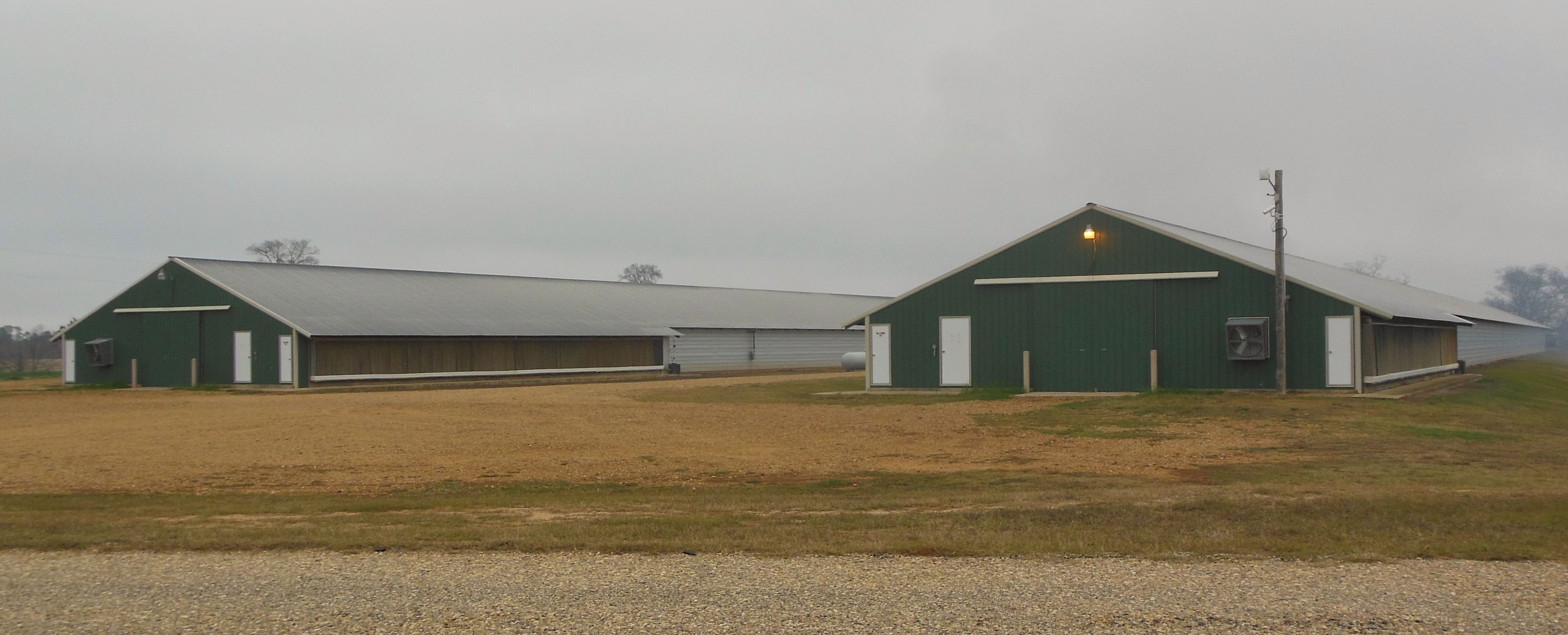 LSU AgCenter committed to poultry research, education