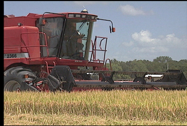 Farmer profits up despite challenging production year