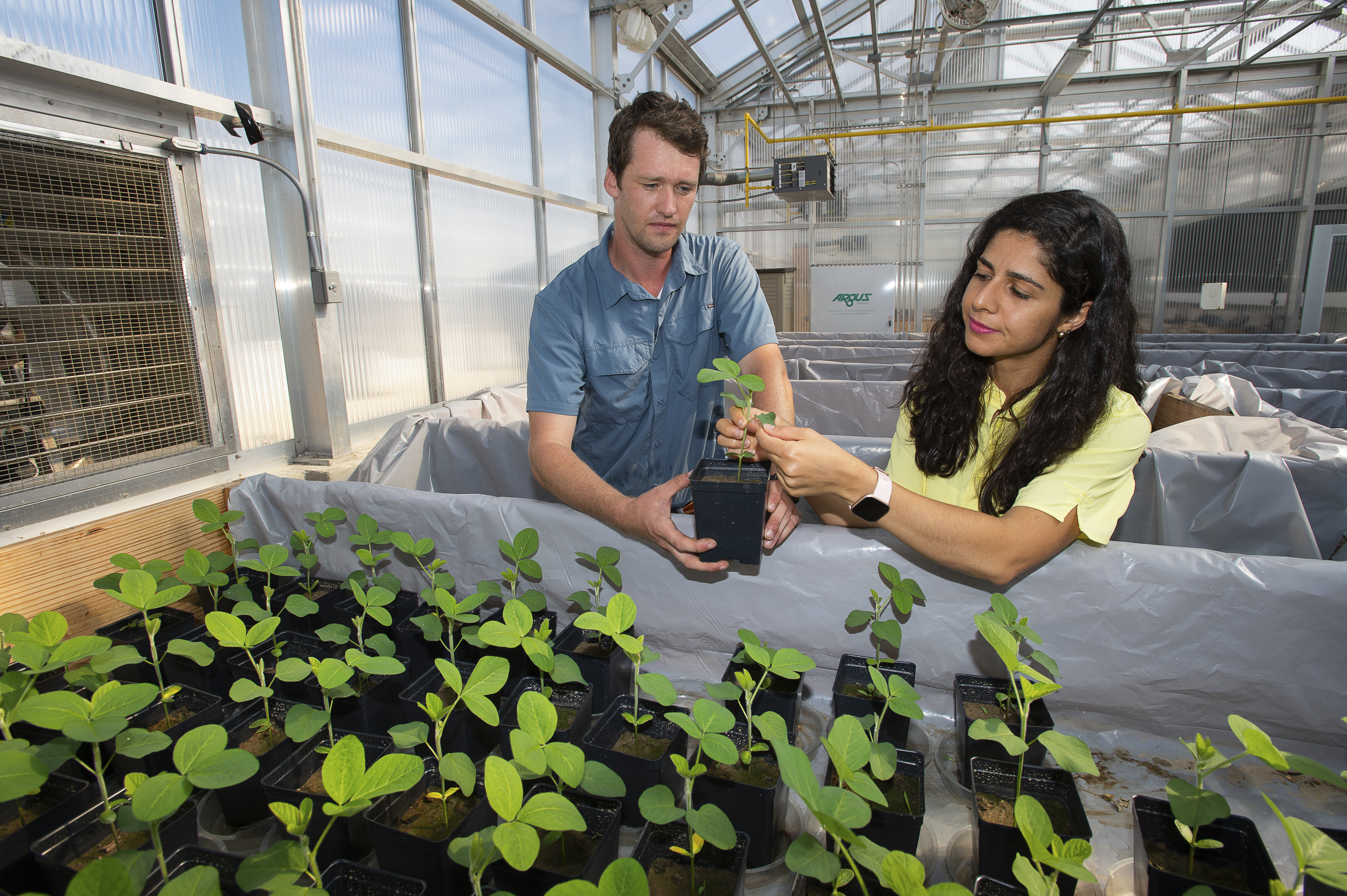 Nematode Advisory Service eyes familiar, new nematodes