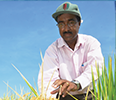 agcenternews.png thumbnail