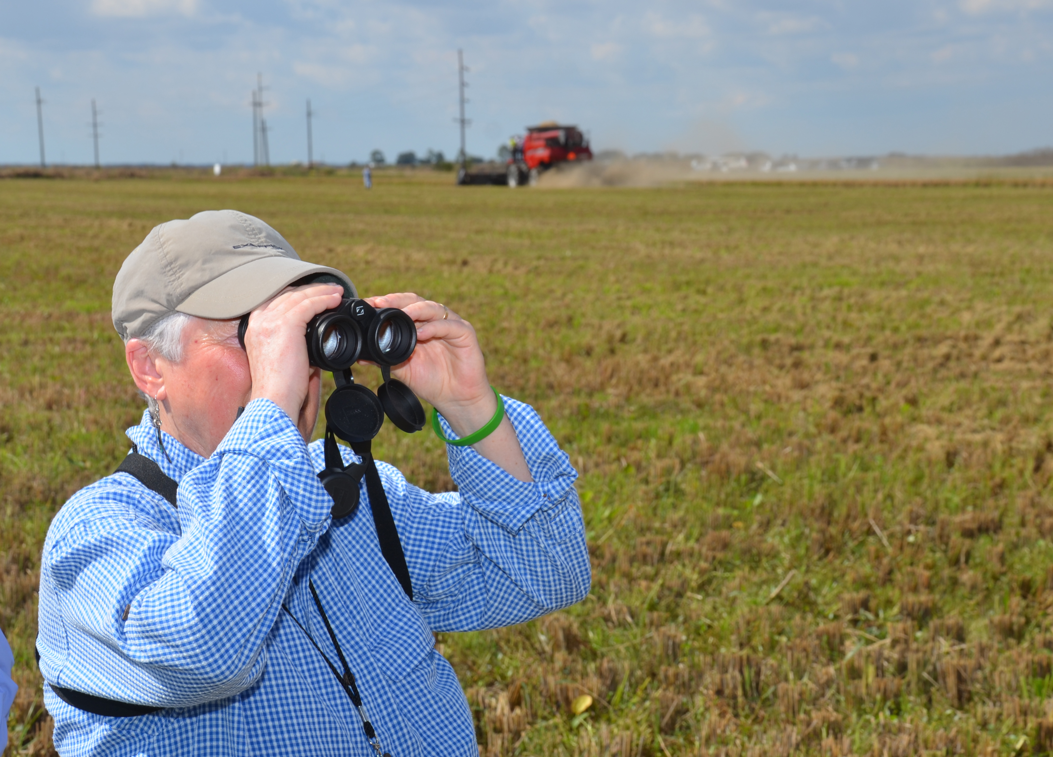 Birders from across U.S. flock to south Louisiana