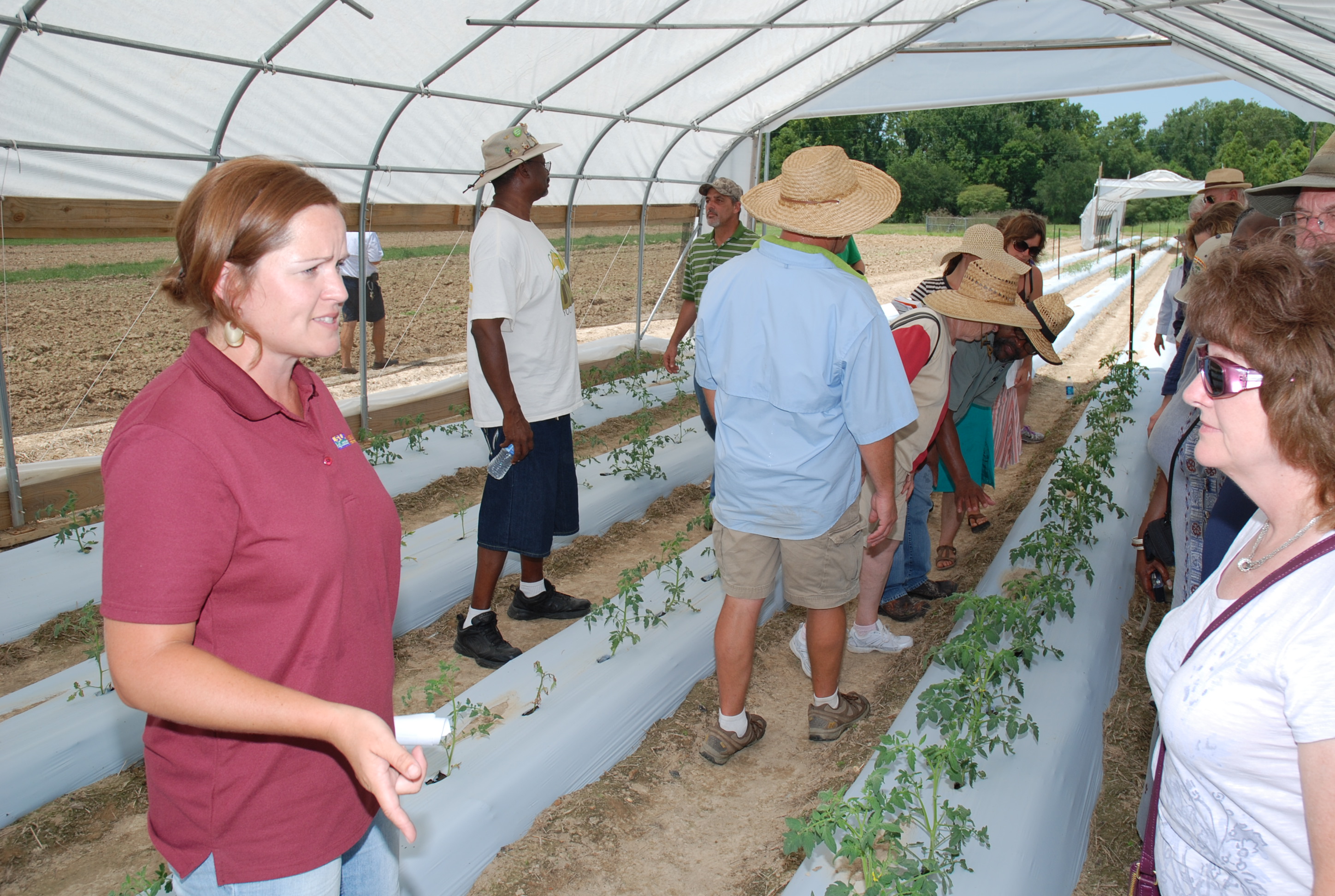 Improved production featured at fruit, vegetable field day
