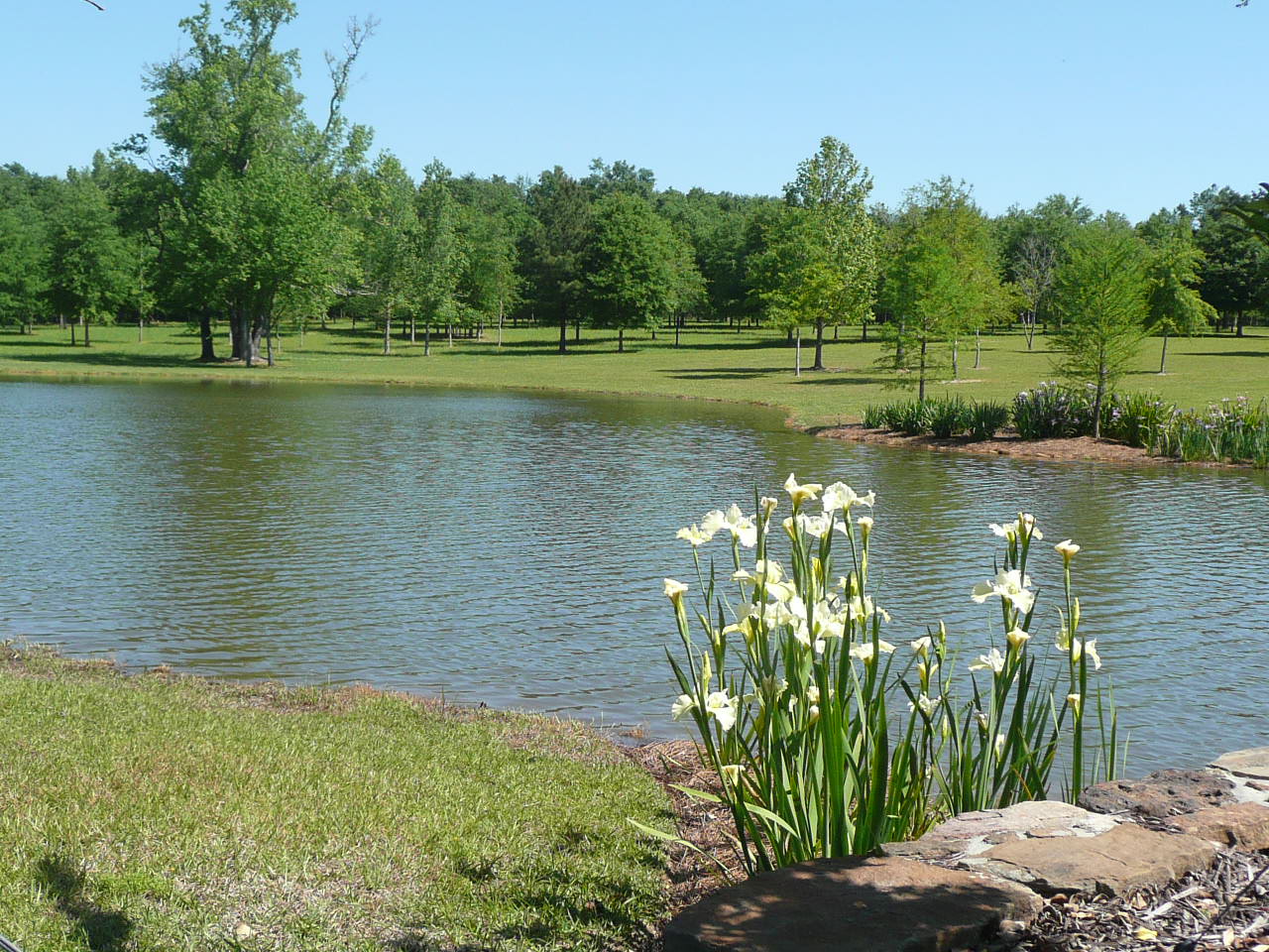 Practice sustainability in your landscape