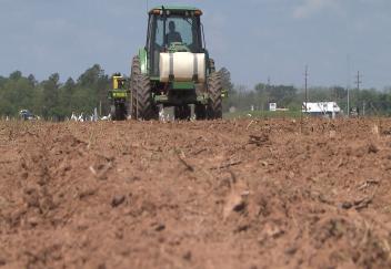Soybean farmers get a late start in planting