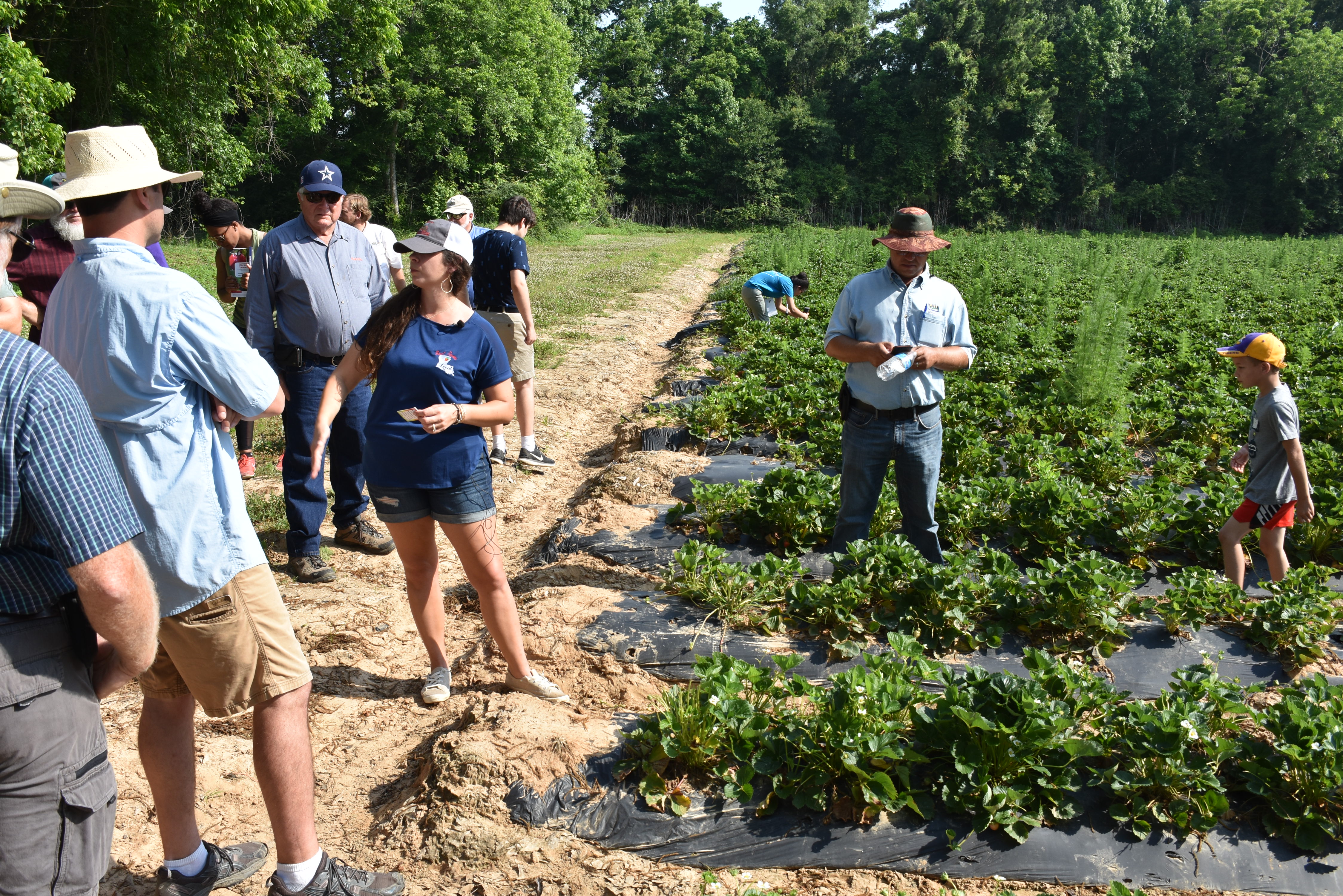 Produce growers tour Tangipahoa Parish farms