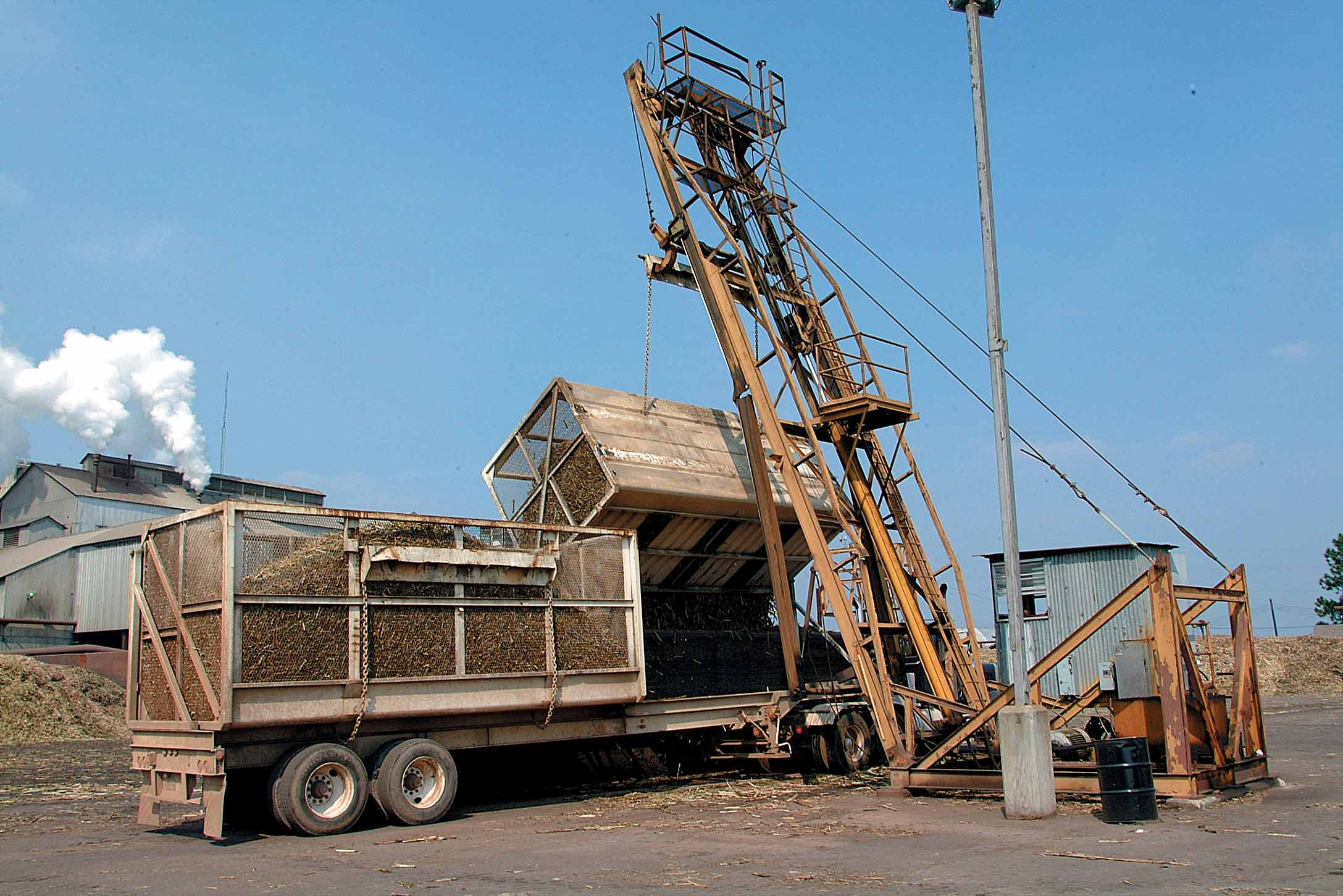 Louisiana’s Sugarcane Industry