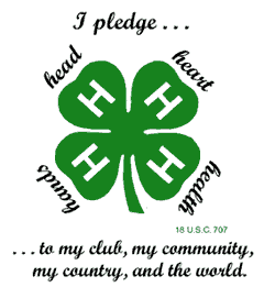 4-H Youth Development