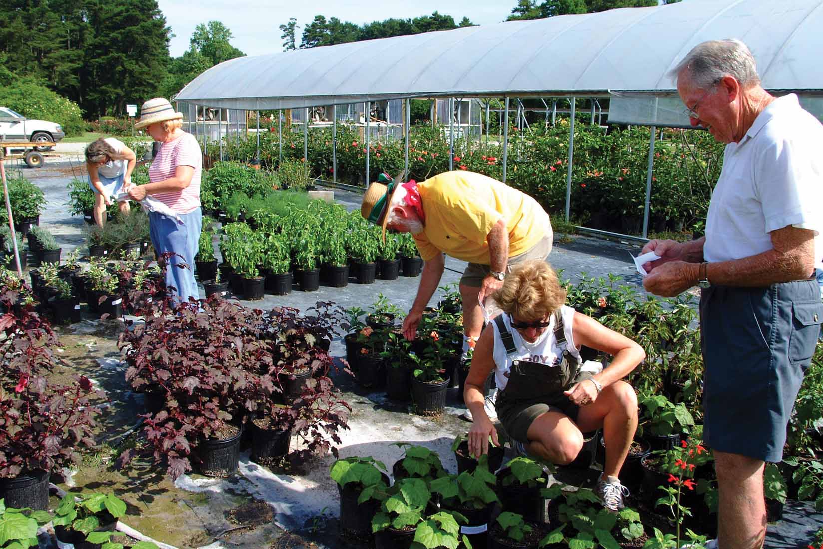 Master Gardeners Help Make Louisiana Beautiful