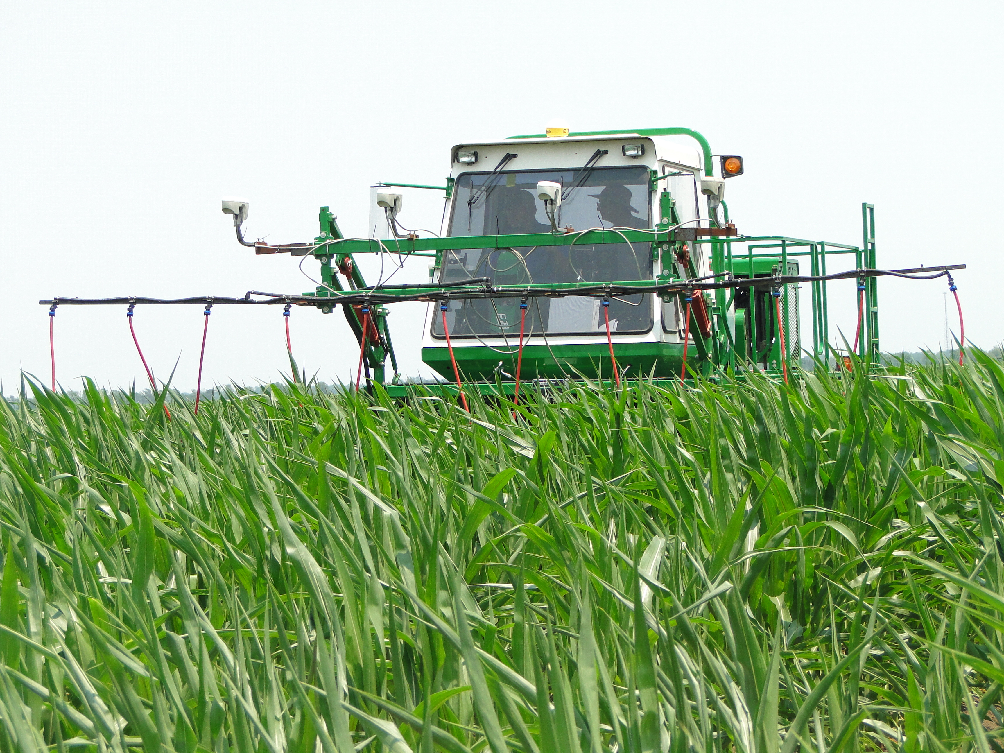 Scientists try optical sensors to determine nitrogen rates in corn