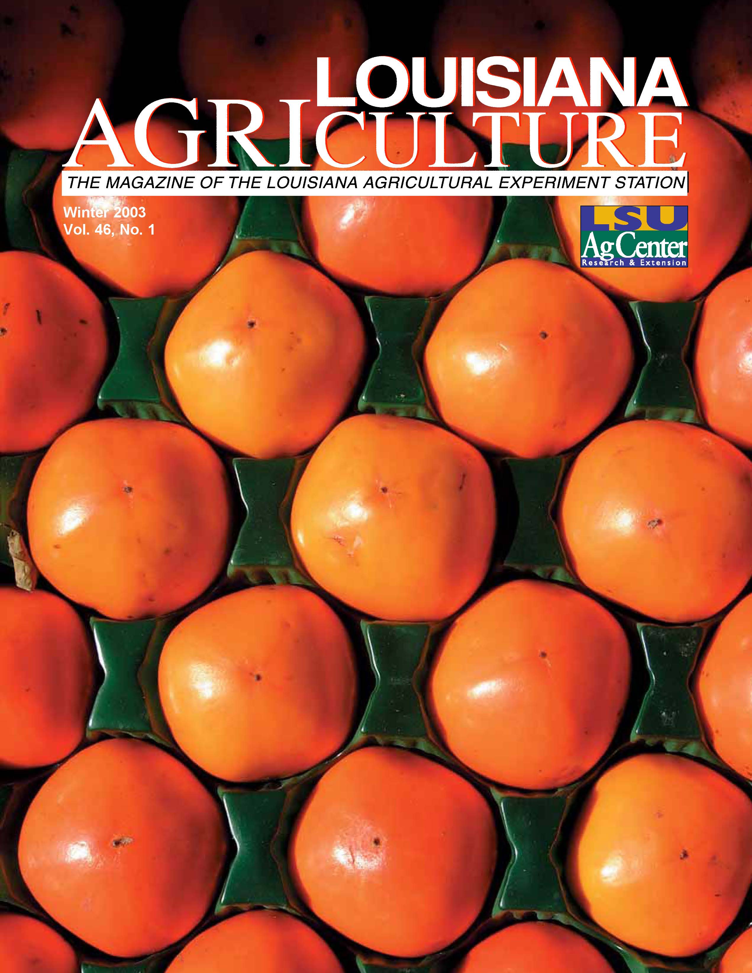 Louisiana Agriculture Magazine Winter 2003
