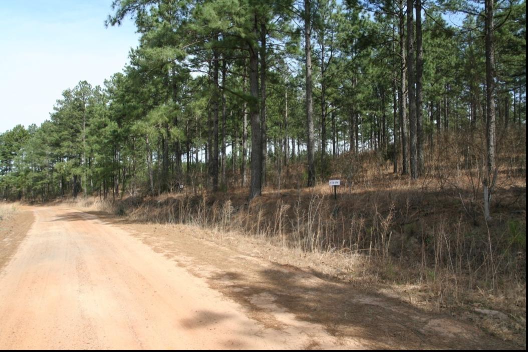 Impact of Application of Poultry Litter on Water Quality and Wood Production in Forest Lands Phase II