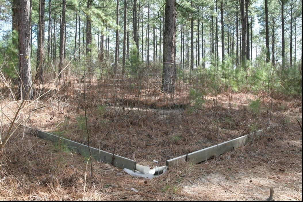 Runoff collector