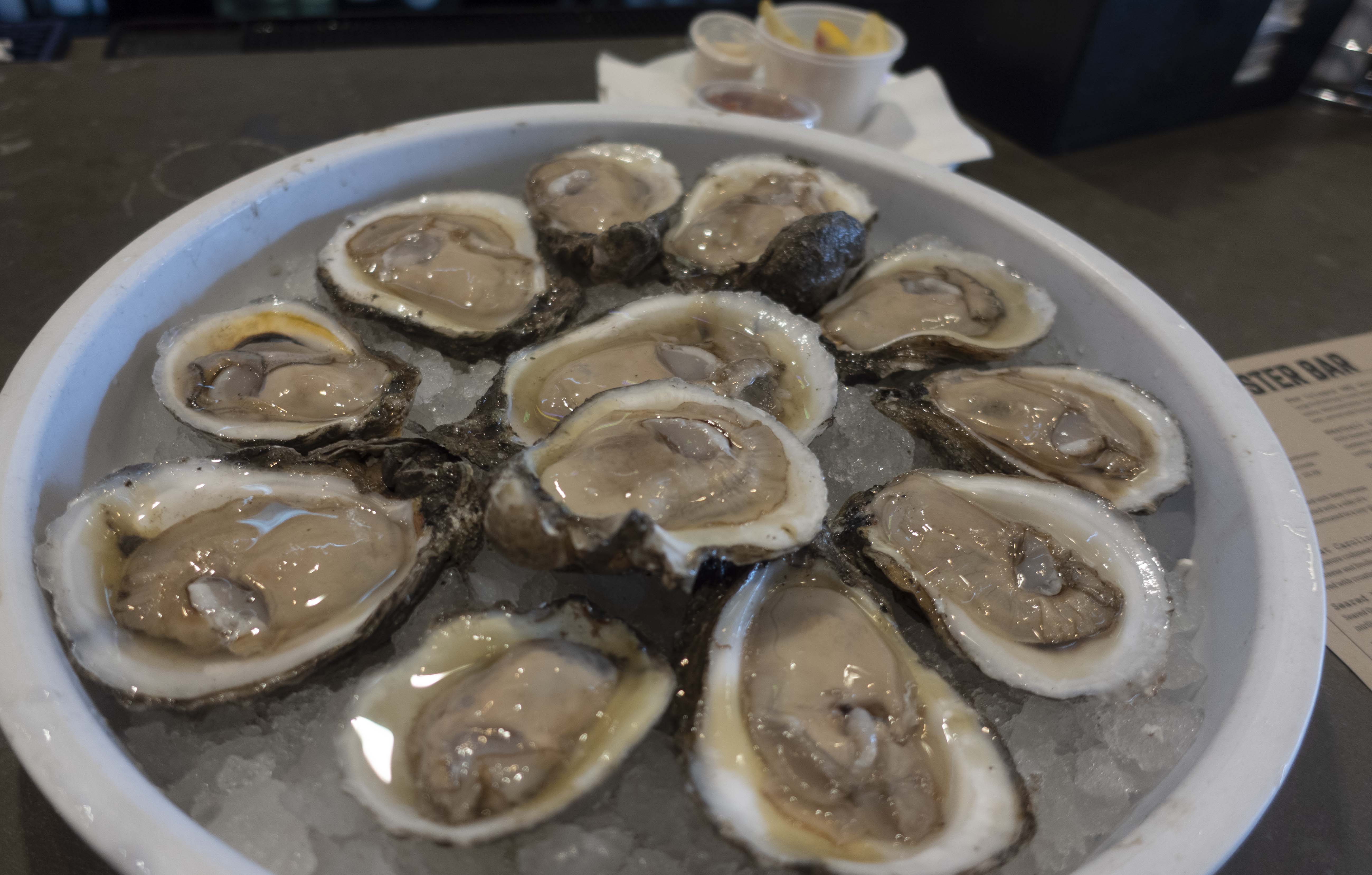 Raw Gulf oysters.