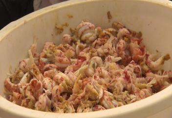 Crawfish study examining processing techniques and issues