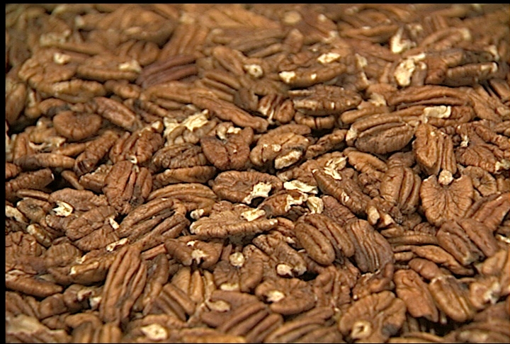 Hurricane-damaged pecan crop showing mixed results across La.