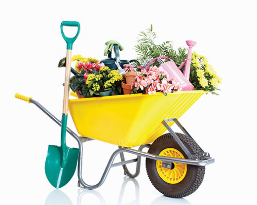 Yellow wheelbarrow, full of flowers, with a green bladed shovel with yellow handle  leaning against it.