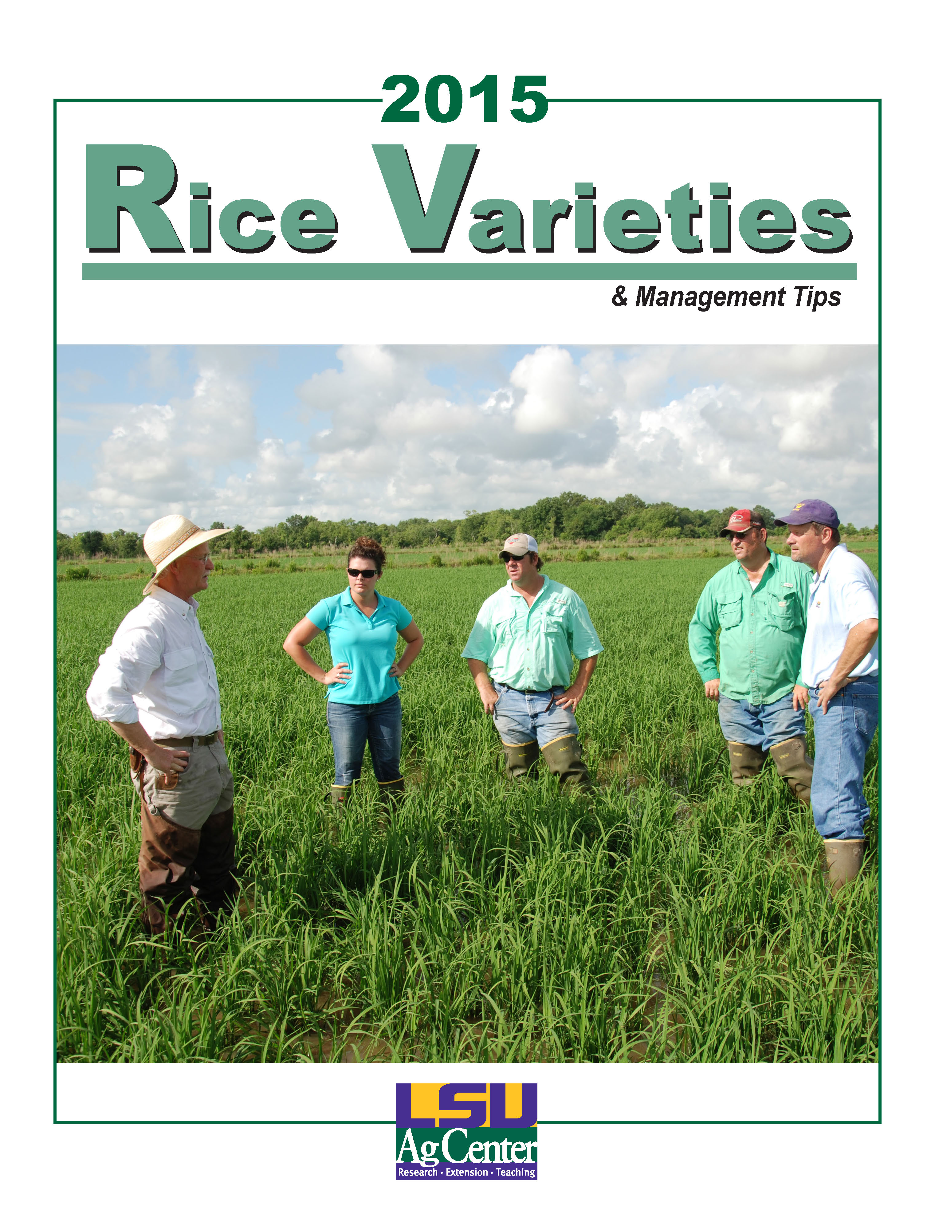 Rice Varieties and Management Tip