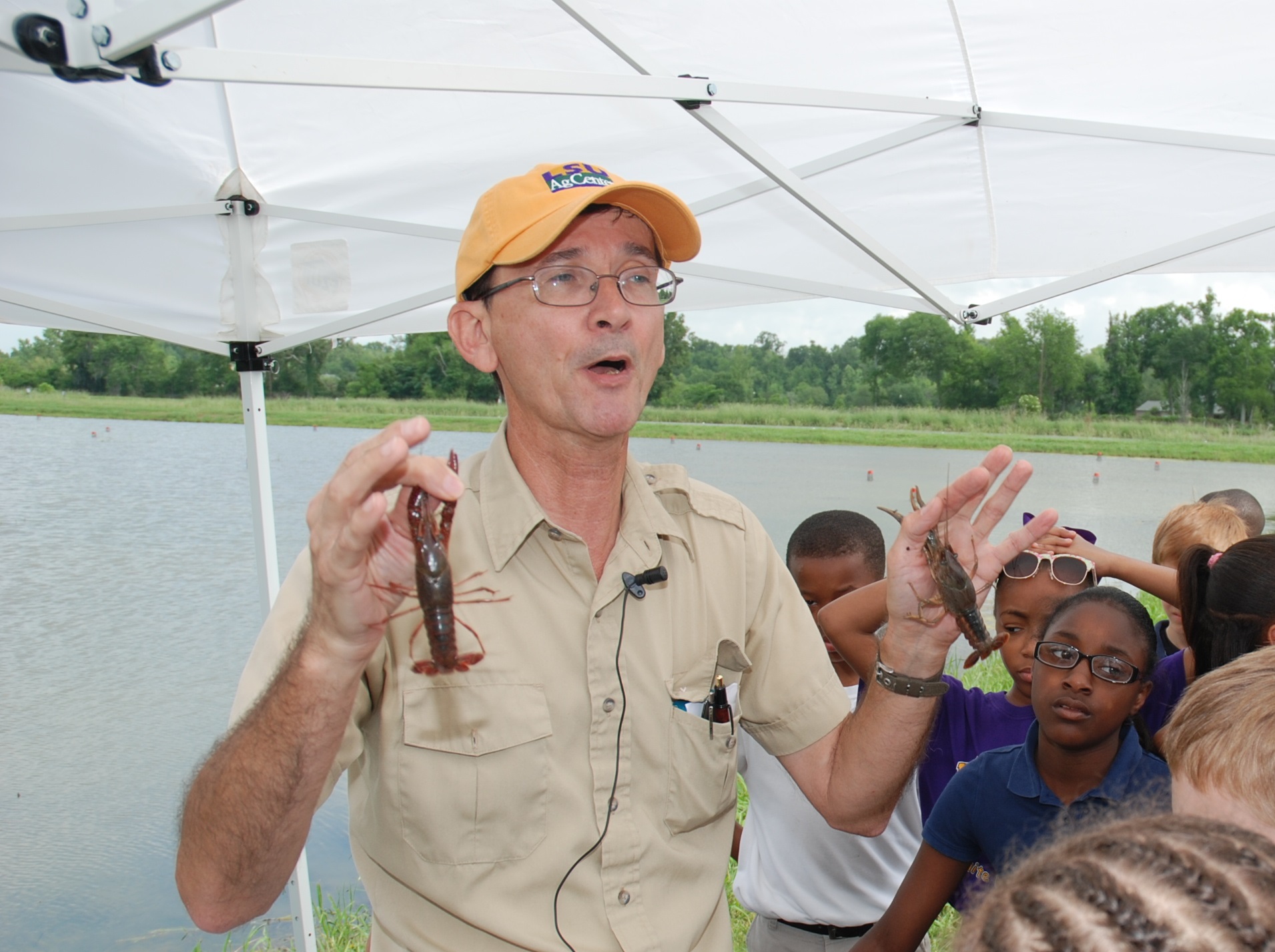 Dry fall, cold winter shortened crawfish season