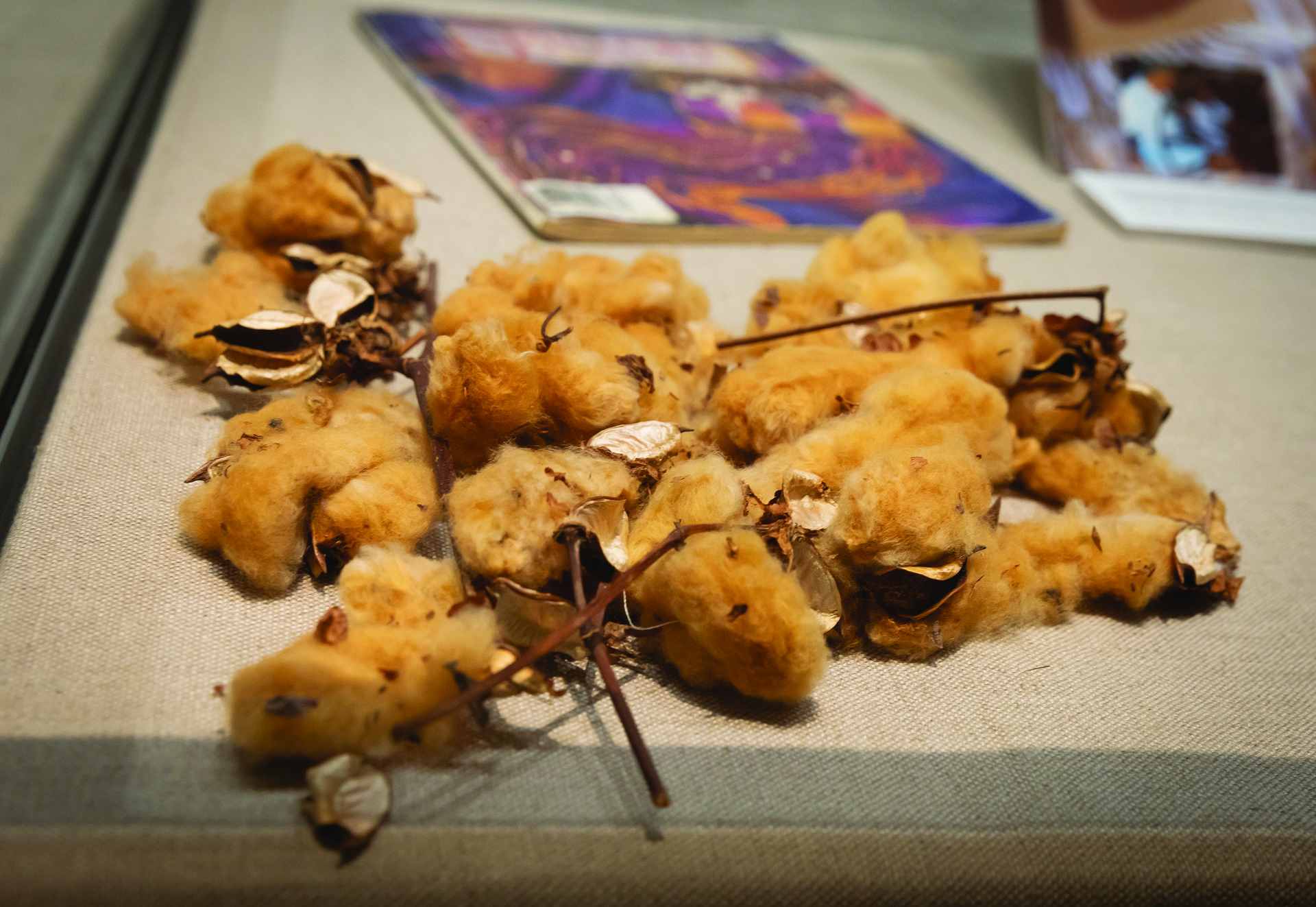 Woven Louisiana History: Acadian Textiles 