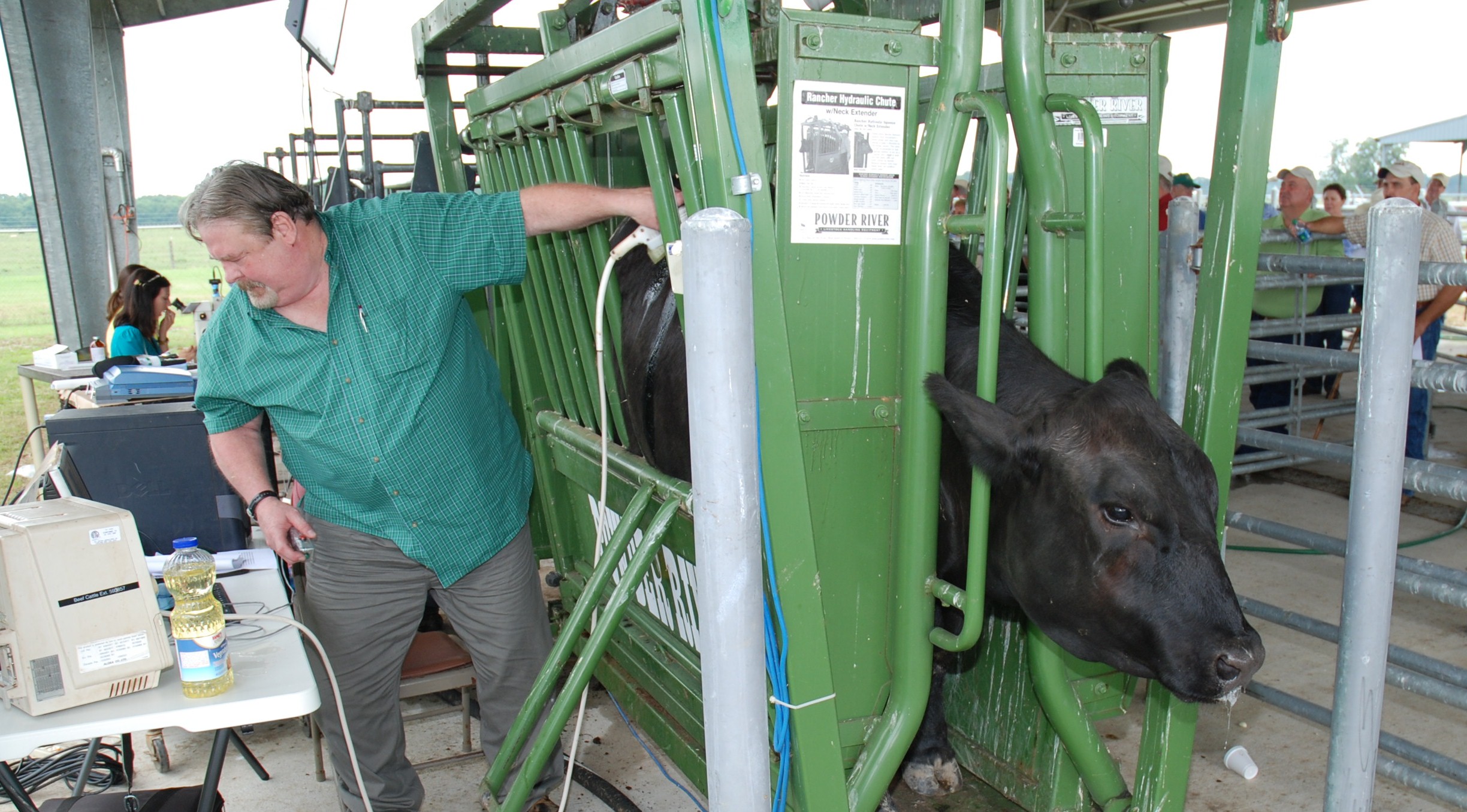Quality, value discussed at beef field day
