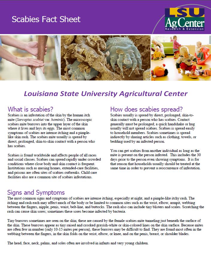 Scabies Fact Sheet
