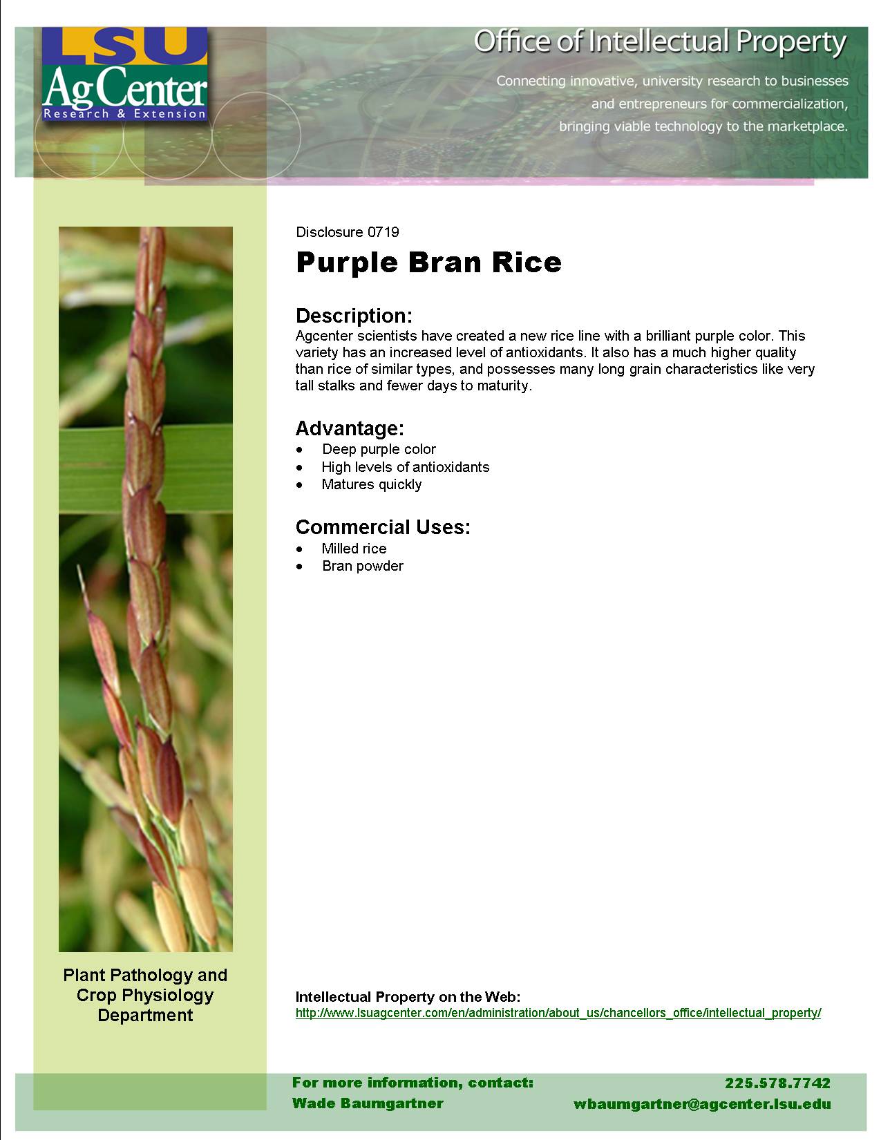 Purple Bran Rice