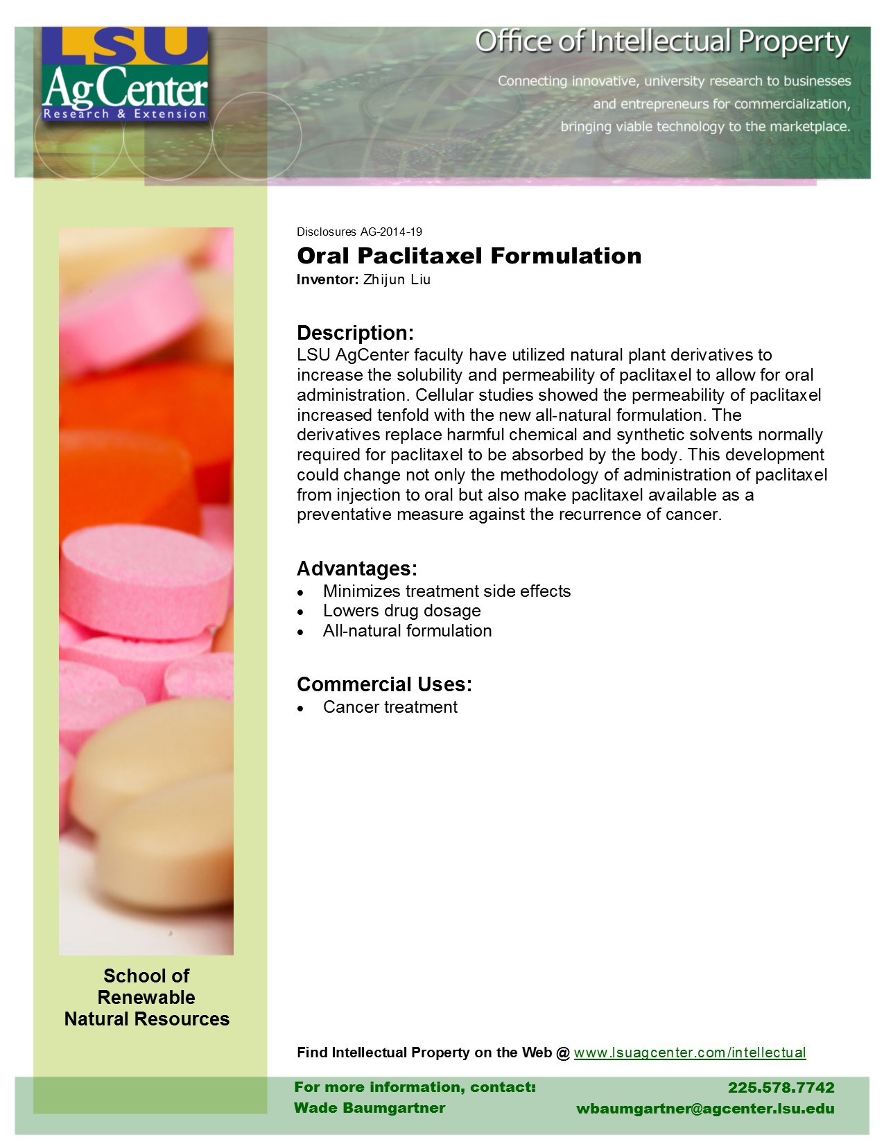 Oral Paclitaxel Formulation