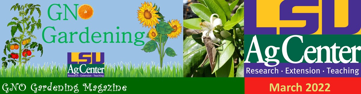 GNO Gardening - March 2022