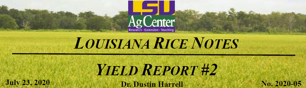 2020 Louisiana Rice Field Notes #5
