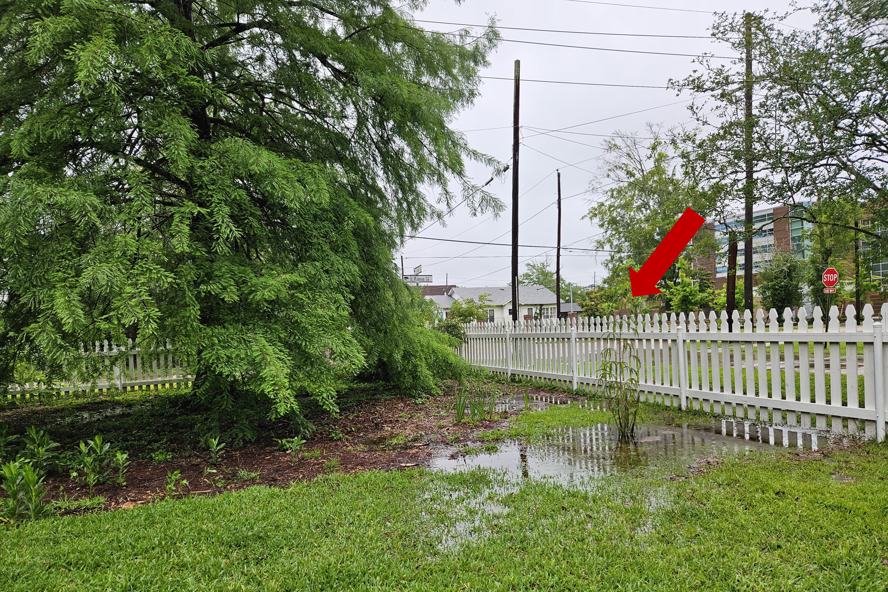 Working with Wet Areas on Your Land