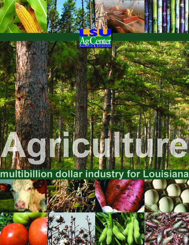 Agriculture:  Multibillion Dollar Industry for Louisiana