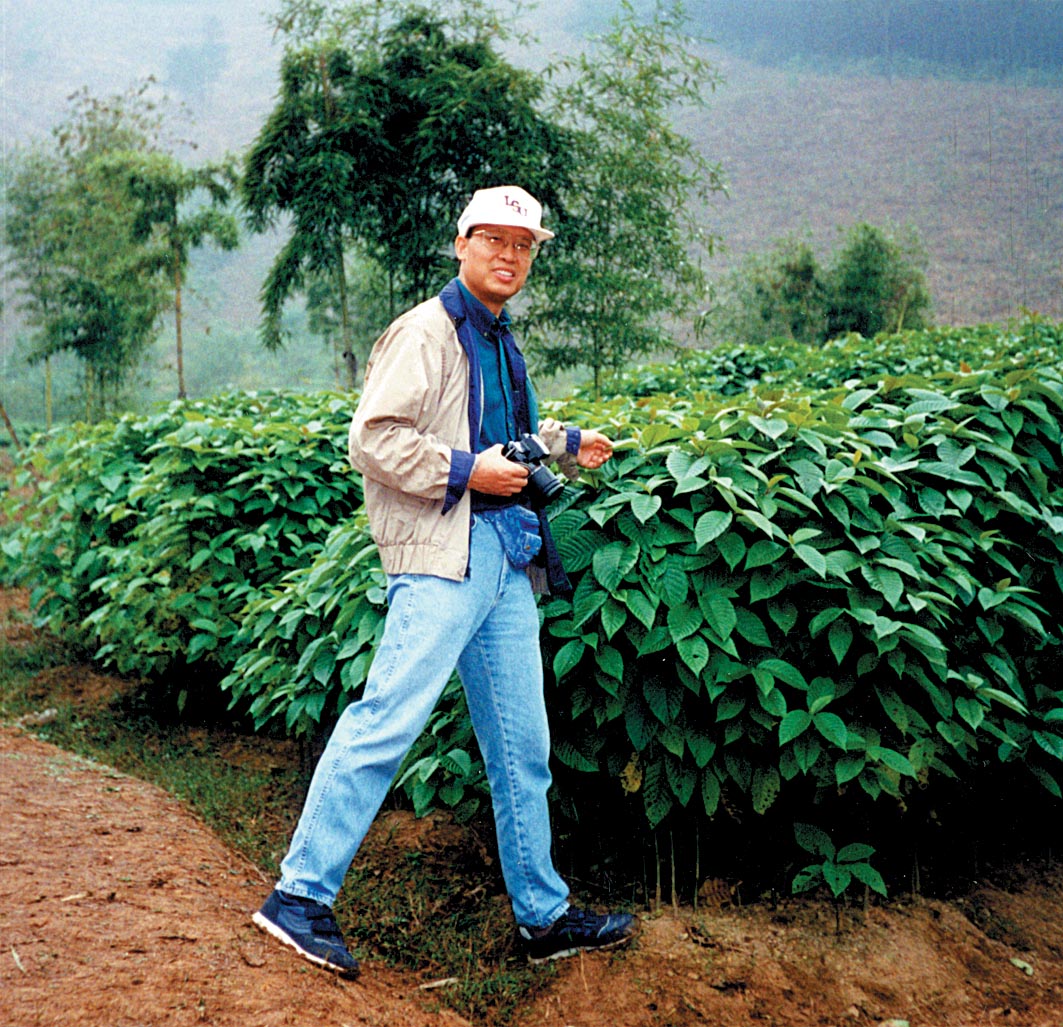 Medicinal plants from China