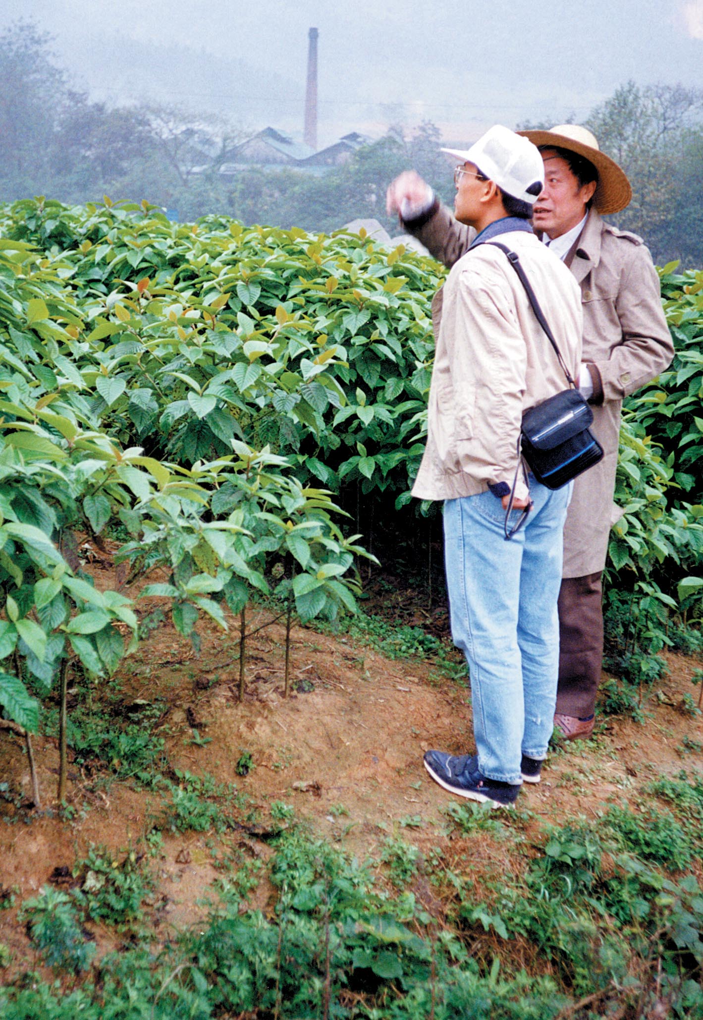 Researcher in China