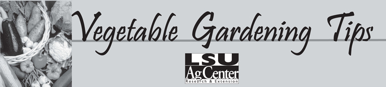 Vegetable Gardening Tips