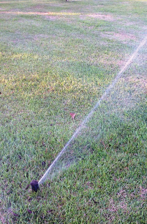 Photo of an in-ground sprinkler-head poppep up out of the green grass of a lawn and spraying a jet of water into the distance where there are light brown patches of dry grass.