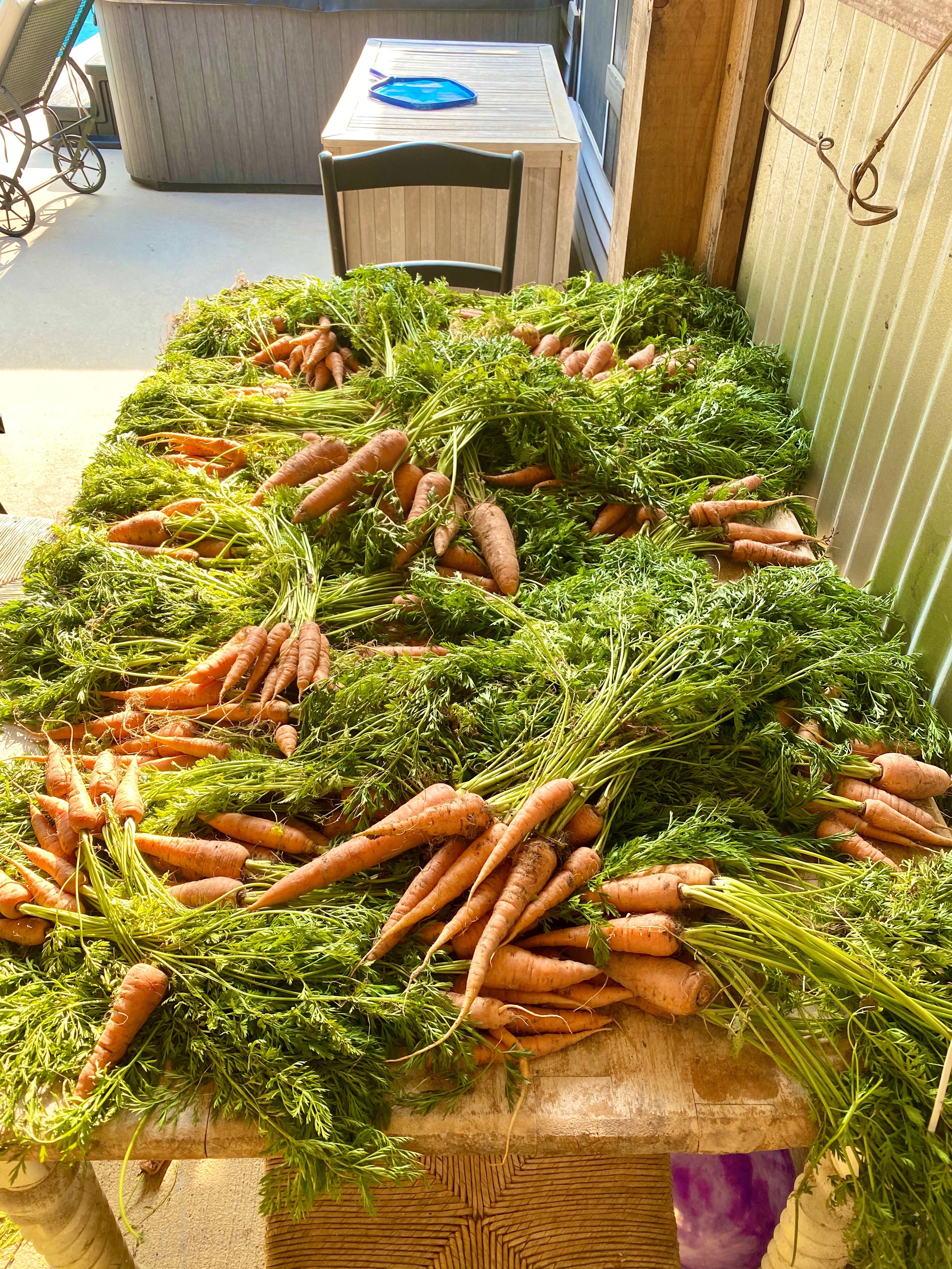High food prices demand change in lifestyle habits