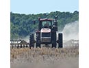 rice-sustainablejpg