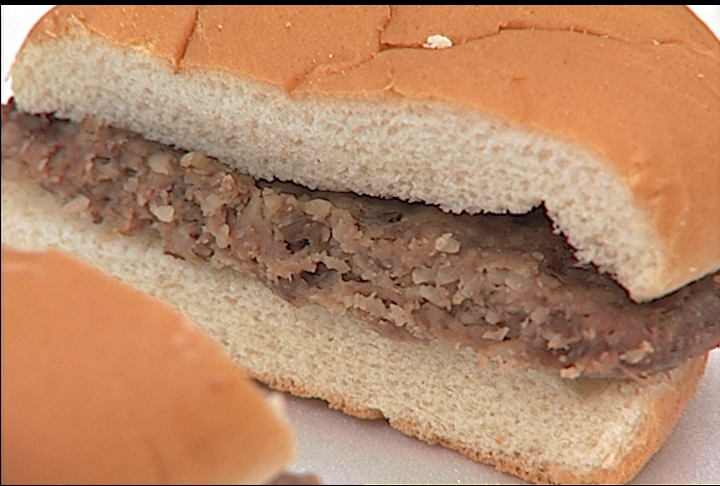 Food scientists testing bean burgers